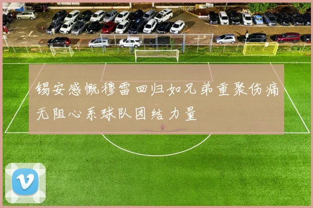 锡安感慨穆雷回归如兄弟重聚伤痛无阻心系球队团结力量