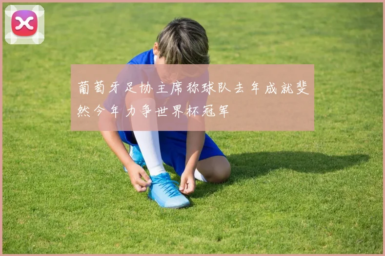 葡萄牙足协主席称球队去年成就斐然今年力争世界杯冠军